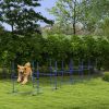 PawHut 6 Piece Dog Agility Set with Adjustable Height Jump Bars, Carry Bag, Displacing Top Bar, Blue