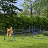 PawHut 8 Piece Dog Agility Set with Adjustable Height Jump Bars, Carry Bag, Displacing Top Bar, Blue