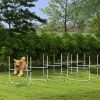 PawHut 8 Piece Dog Agility Set with Adjustable Height Jump Bars, Carry Bag, Displacing Top Bar, White