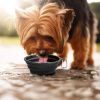 2pcs Collapsible Dog Bowl, Food Grade Silicone BPA Free, Foldable Expandable Cup Dish for Pet Cat Food Water Feeding Portable Travel Bowl RT