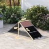PawHut Dog Agility Equipment Ramp with Non-slip Surface, A-frame, Agility Equipment Ramp for All Breed Dogs, Gray